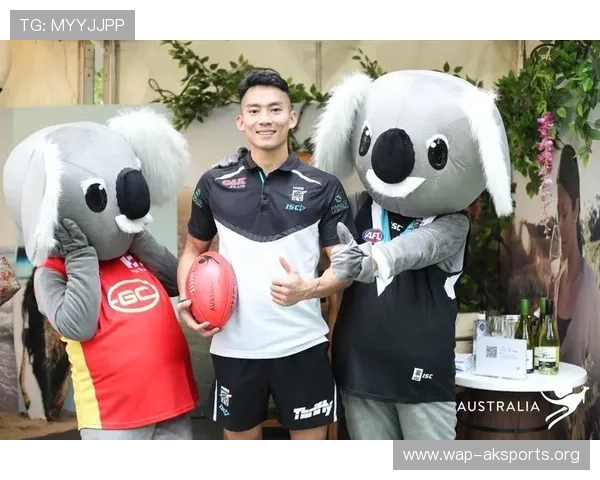 三升体育官方合作伙伴详细介绍及合作优势助力用户选择最优体育服务 三升体育官方合作伙伴详细介绍及合作优势助力用户选择最优体育服务