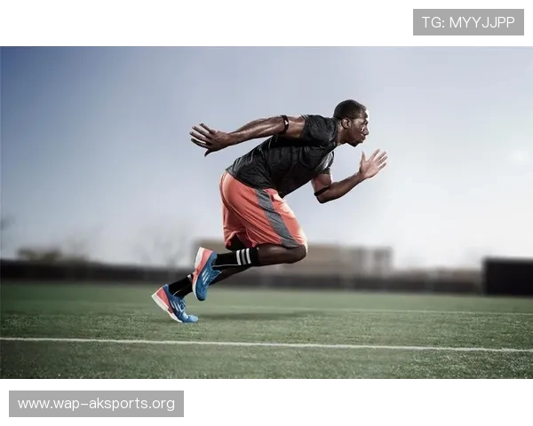 华体会体育官方下载流程详解，轻松一步完成下载安装享受优质体育娱乐