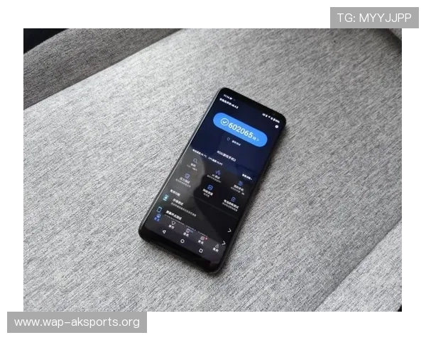 博鱼官网在线登录入口全面指南帮助玩家顺利进入游戏体验最新优惠活动